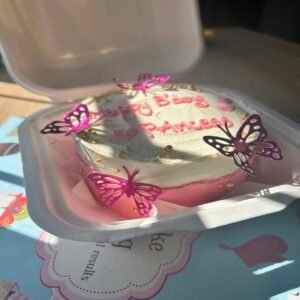 Bento Cake