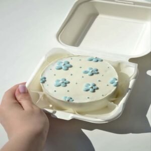 Bento Cake